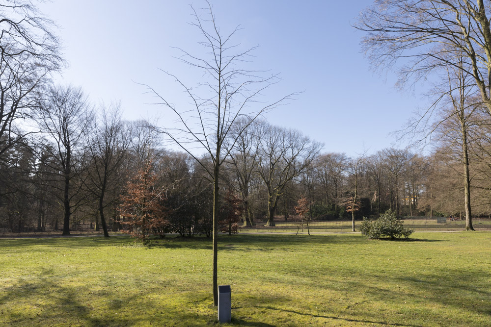 Memorial Tree Sir James Cleminson KBE, MC