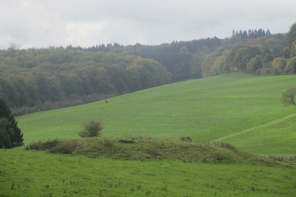 Westwall - Remains Bunker #1