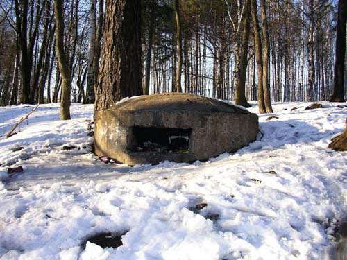 Soviet Gun Battery Udel'nyy (St. Petersburg) #1