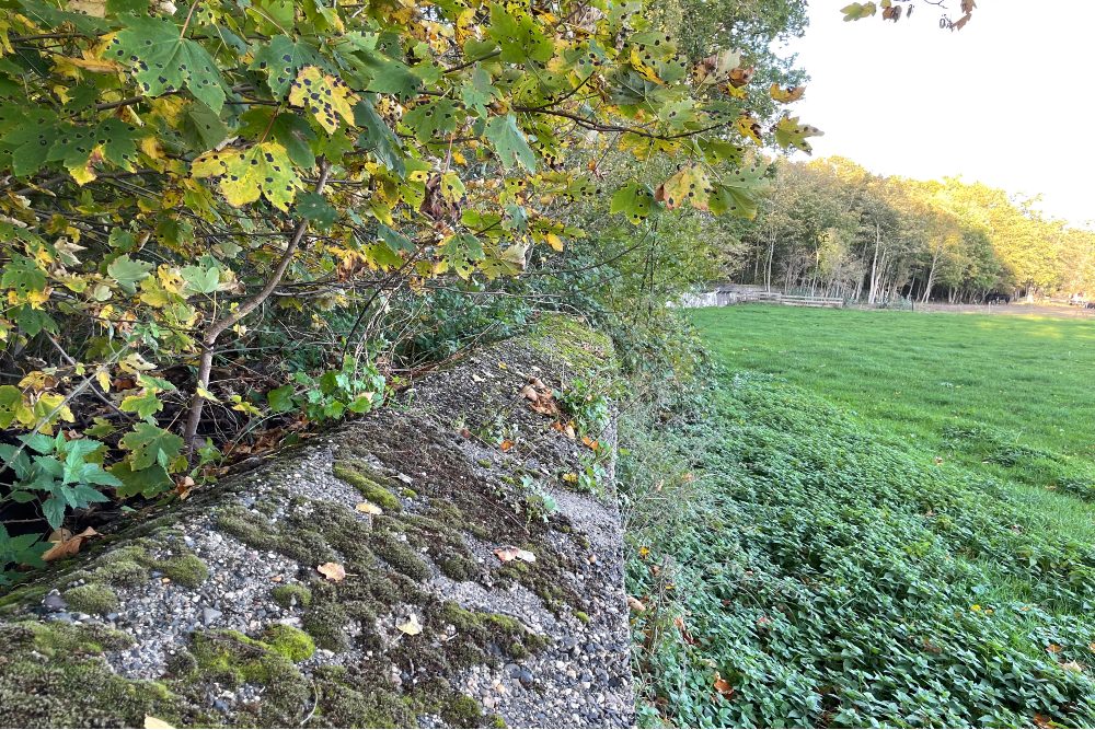 Anti-tank Wall Bergen #2