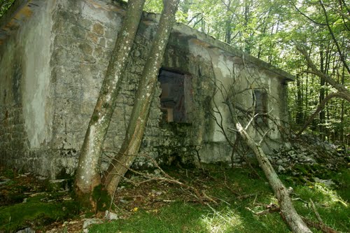 Alpine Wall - Bunker Trstenik #1