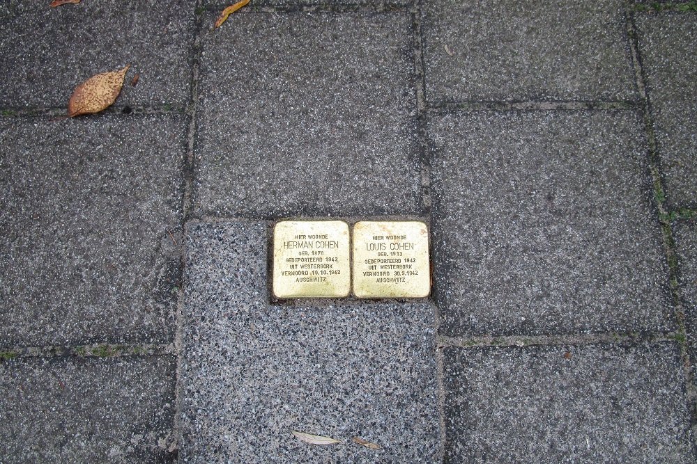 Stolpersteine Maarten Dijkshoonlaan 36 #1