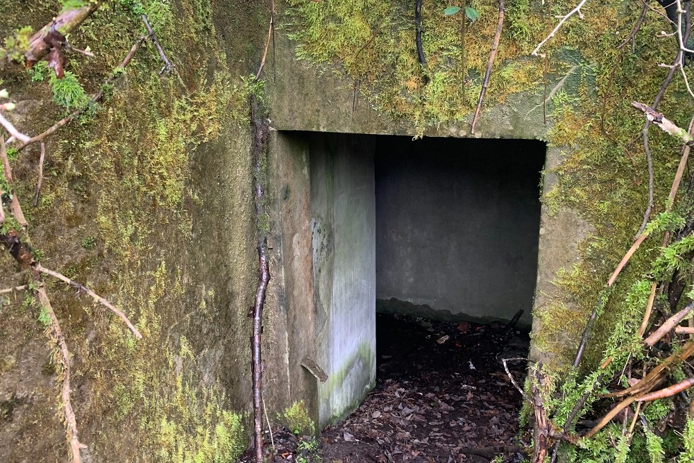 Bunker BV 4 Spixhe #3