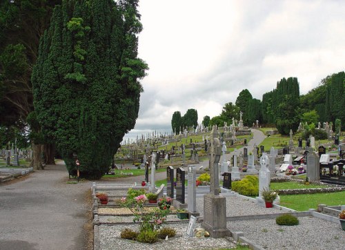 Oorlogsgraven van het Gemenebest Clonoghill Cemetery #1