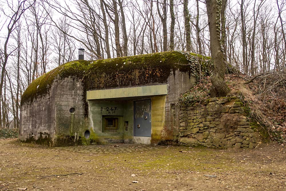 Luchtverdediging Bunker Ginnick