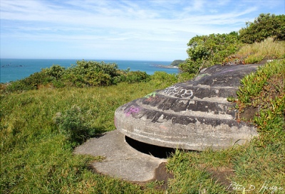 Fort Dorset