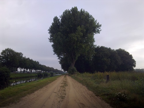 Frieslandregel Wittelte