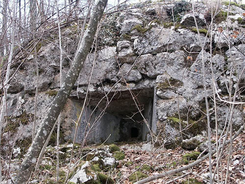 Alpine Wall - Fort Zvonece Br.4 #1