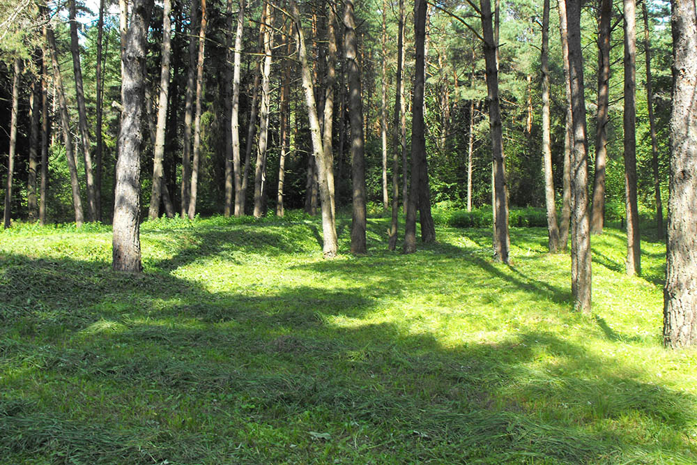 Mass Grave Holocaust Victims 1942 #2