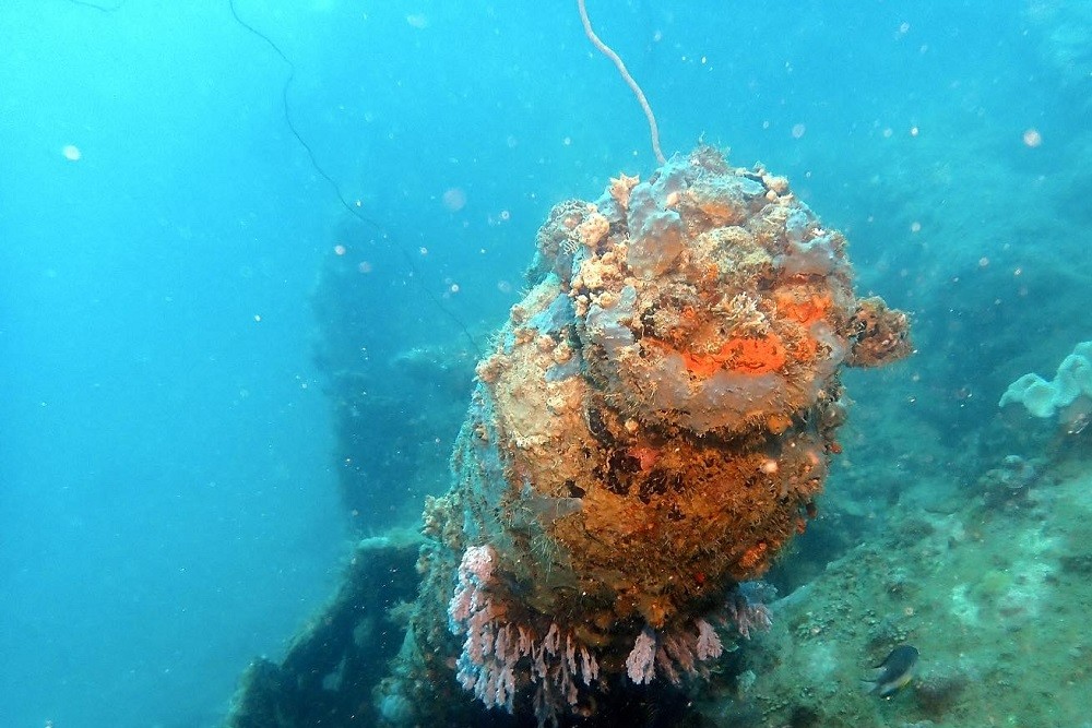 Ship Wreck Submarine I-1 #4