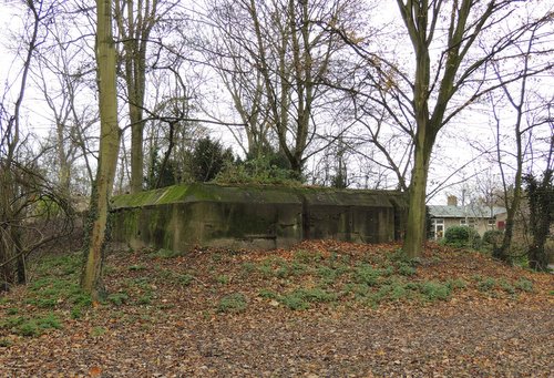 Bunker 3 Stützpunkt Brünhild 'Park Toorenvliedt #2