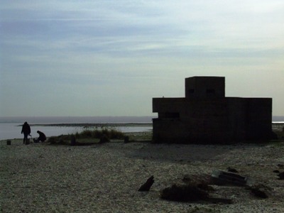 Pillbox Shellness #1