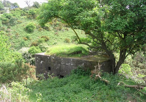 Pillbox FW3/24 Wooler