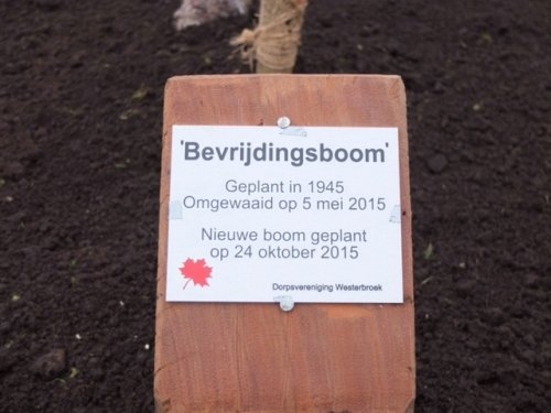 Bevrijdingsboom Westerbroek #3