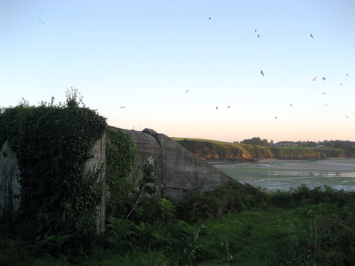 German Bunker Morieux