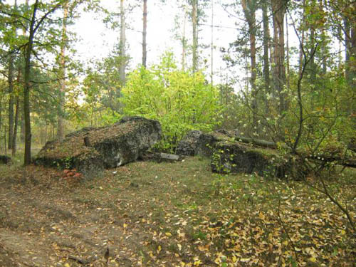 Stalin Line - Remains Casemate No. 431