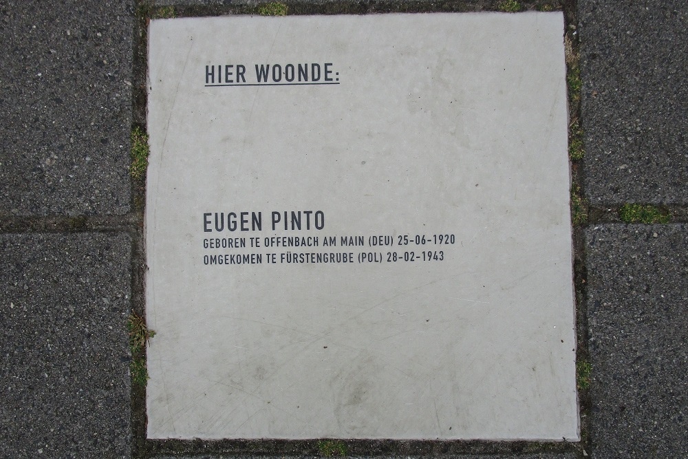 Memorial Stone Meester van Coothstraat 82 #1