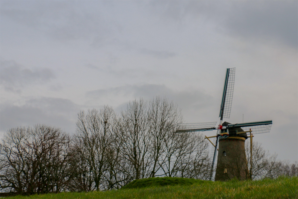 Mitrailleursnest Molen Hellevoetsluis #3