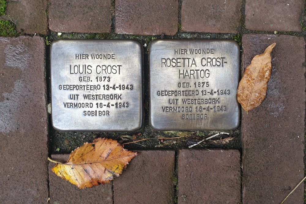 Stolpersteine Maarten Janszoon Kosterstraat 11 #1