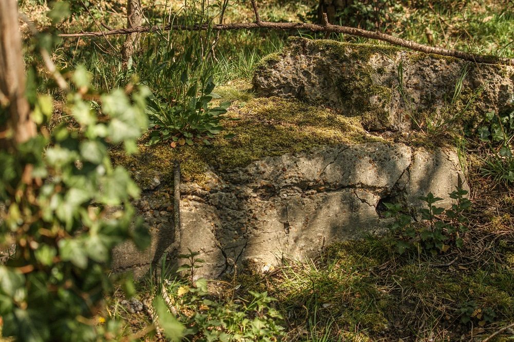 Restant Bunker Vliegveld Gilze Rijen #1