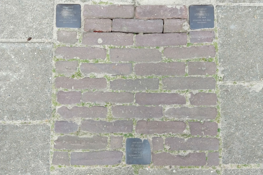 Stolpersteine Albrechtsweg 9 #1