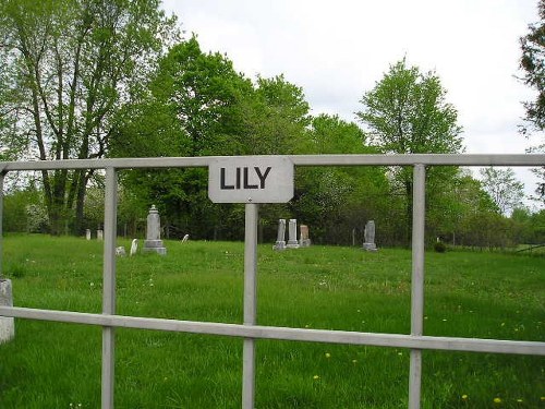 Commonwealth War Grave Lily Cemetery