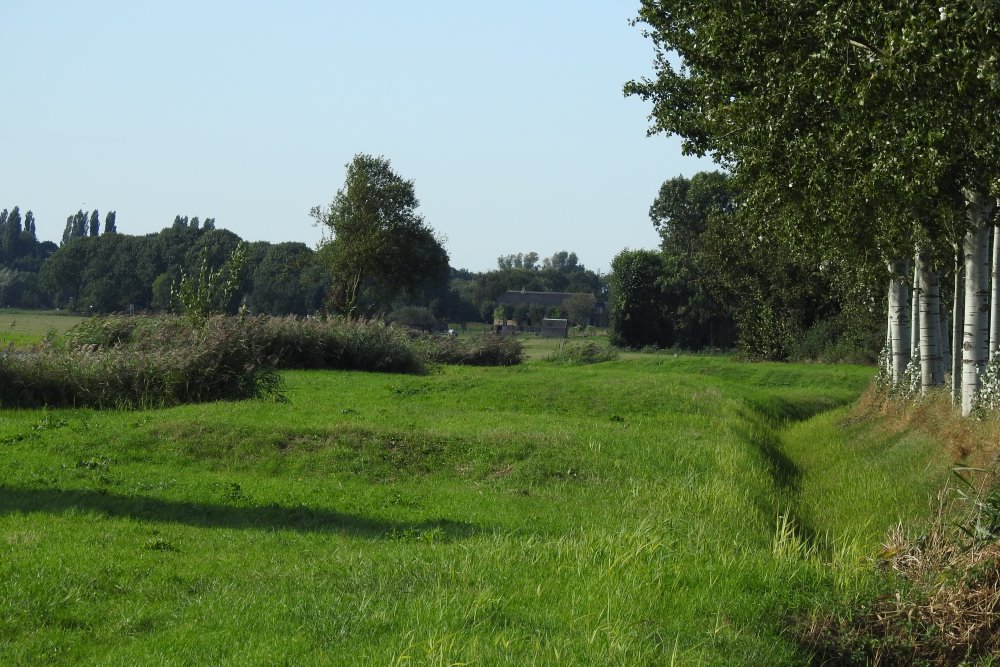 World War I Defense Line Almkerk #1