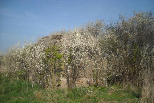 Fundament FuMG 65 Wurzburg-Riese Radar