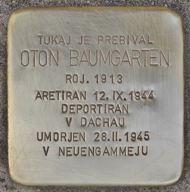 Stumbling Stone Križevniška ul. 7 #1