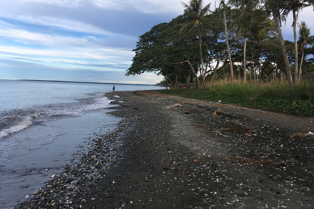 Lunga Point