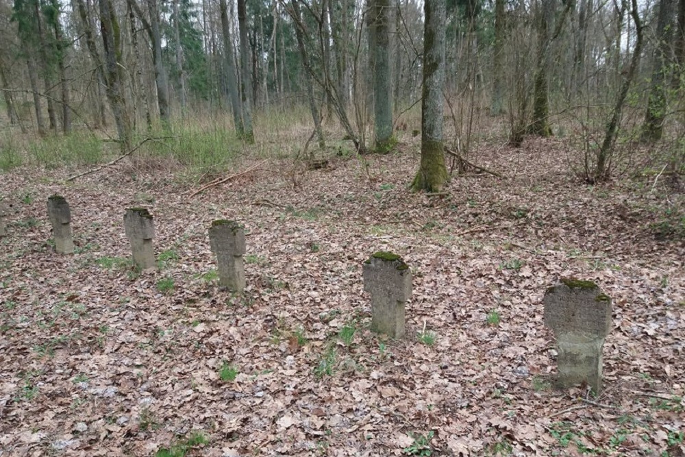 Duitse Oorlogsgraven Bačkonis #3