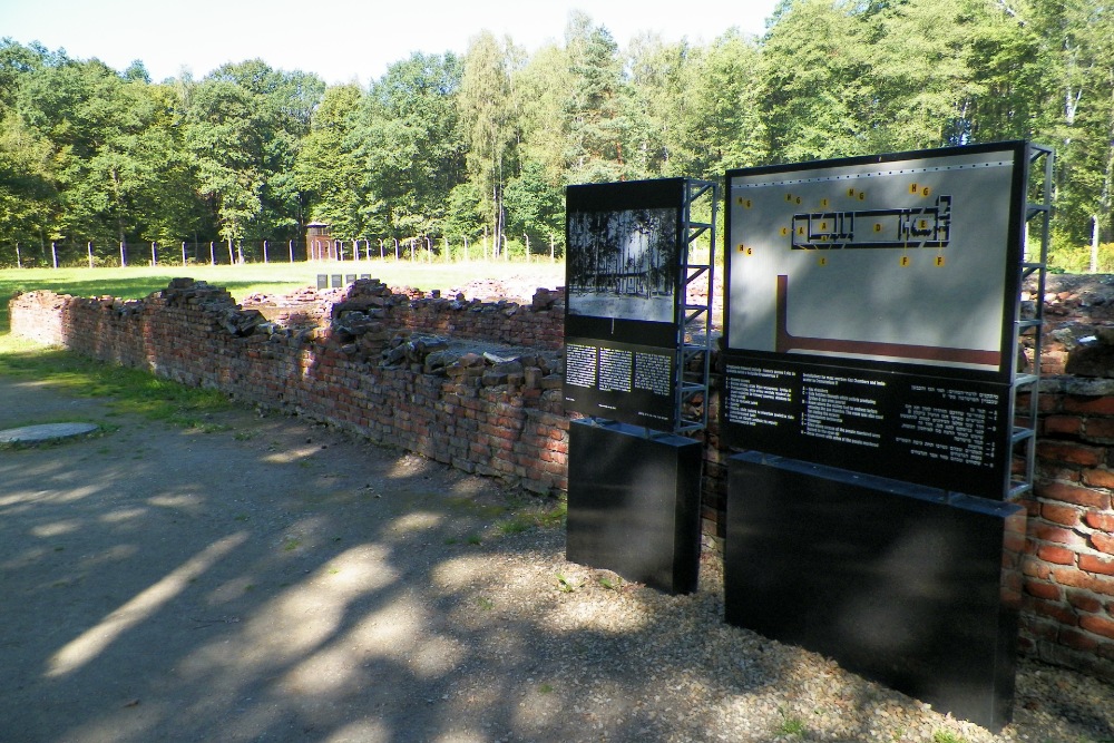 Remains Gas Chamber 5 Auschwitz II (Birkenau) #3