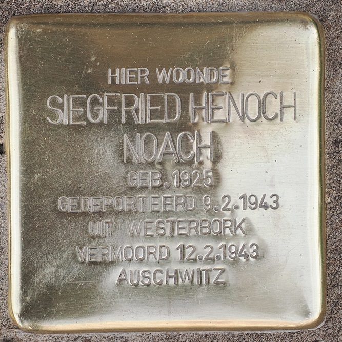 Stolpersteine Papenstraat 33 #4