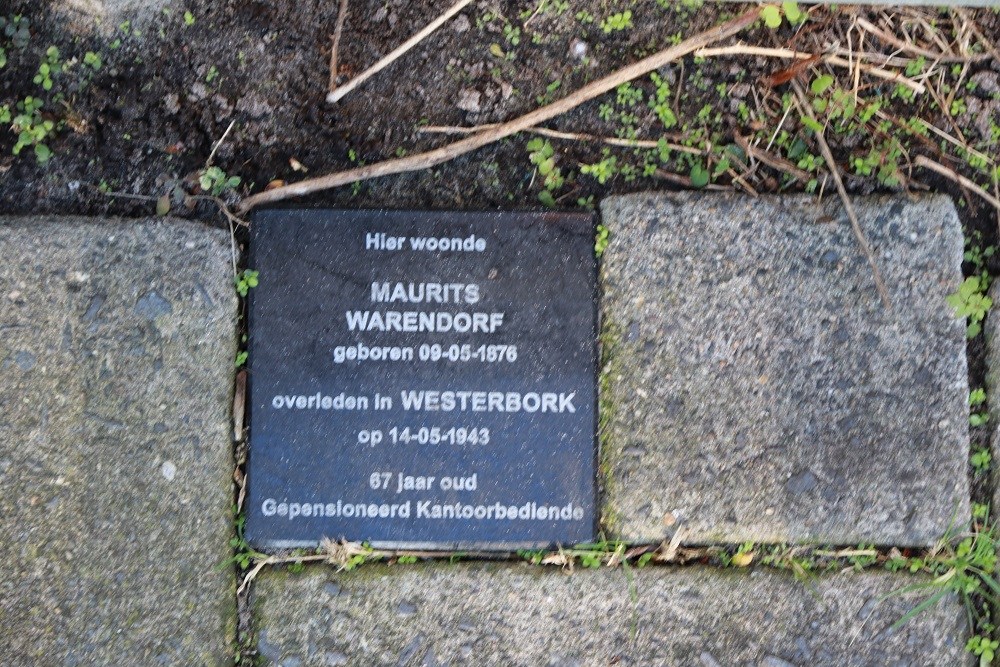 Memorial Stone Crocusstraat 55 #1