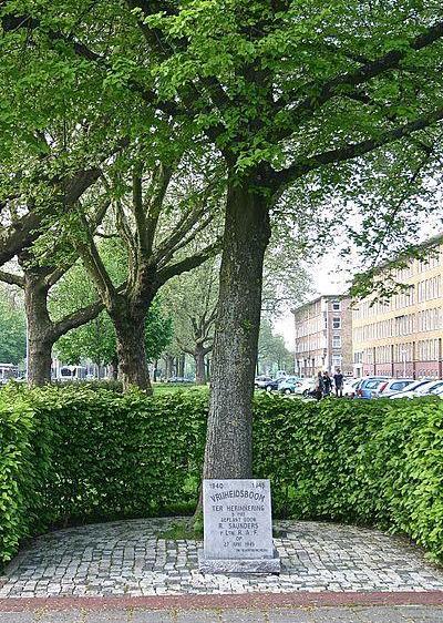 Vrijheidsboom Bos en Lommerweg #1