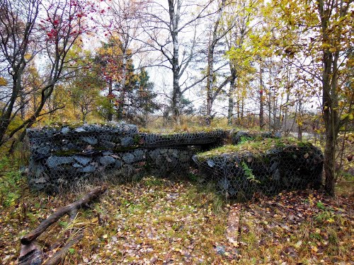 Finnish Gun Emplacement