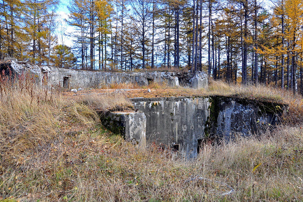 Coastal Battery No. 925 #1