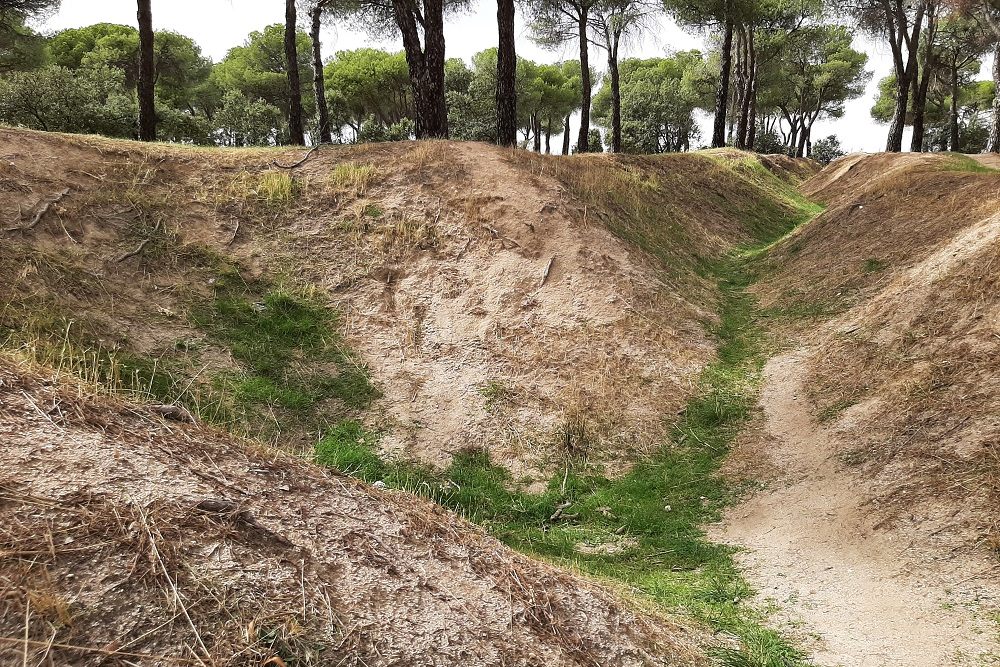 Trench and Rifle Pit Dehesa de Navalcarbón #2
