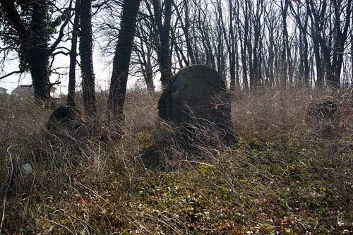 Oostenrijkse Oorlogsbegraafplaats Nr.275 - Brzesko #1