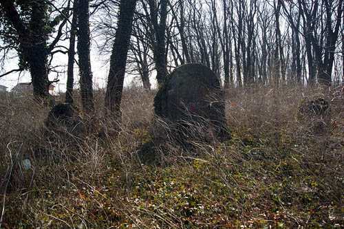 Austrian War Cemetery No.275 - Brzesko #1