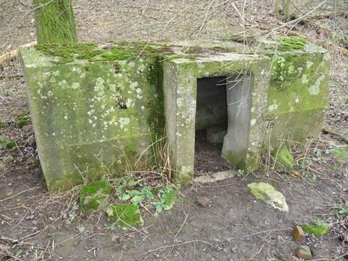 Group Shelter Type 1916/I Nieuwendijk #1