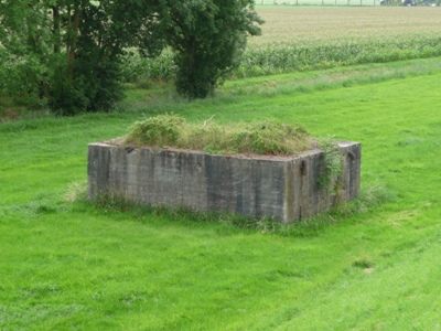 Unfinished Group Shelter Diefdijk