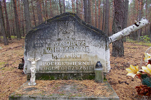 Field Grave Polish Resistance Fighter
