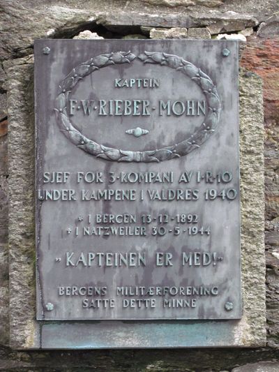 Gedenkteken Kapitein F.W. Rieber Mohn Bergen #1