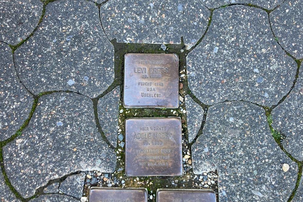 Stumbling Stones Emil-Wolff-Straße 15 #3
