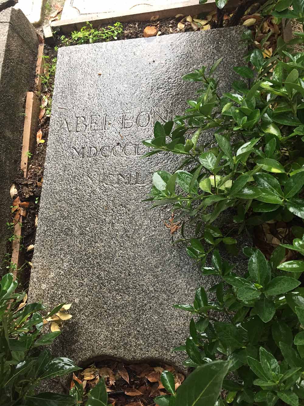 Grave Abel Bonnard #1