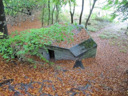 Bunker FW3/24 Goring #3