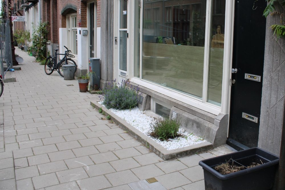 Stolperstein Tilanusstraat 79 #2
