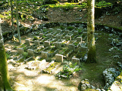 Partisan War Cemetery Zgornji Hrastnik #2