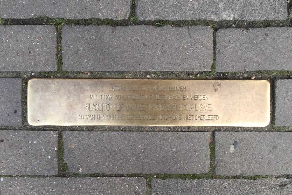 Stumbling Threshold Naamsestraat 73